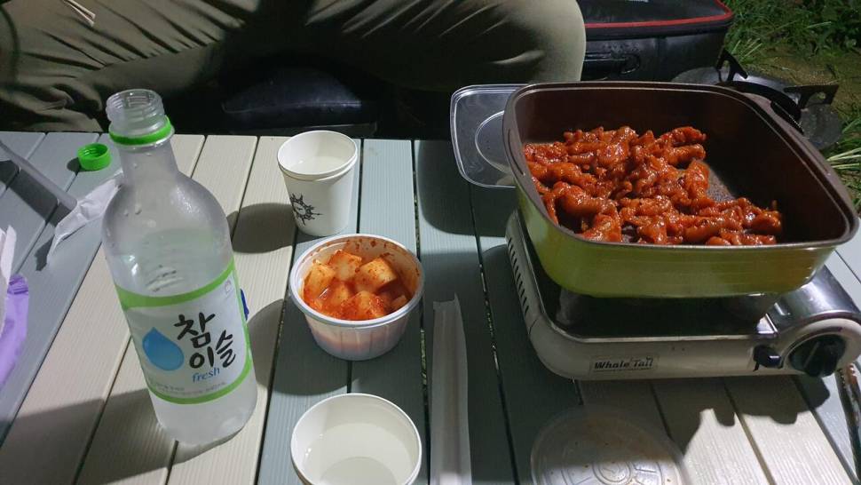 달빛아래 꾼 조행기 (조황조행기 - 화보조행기)