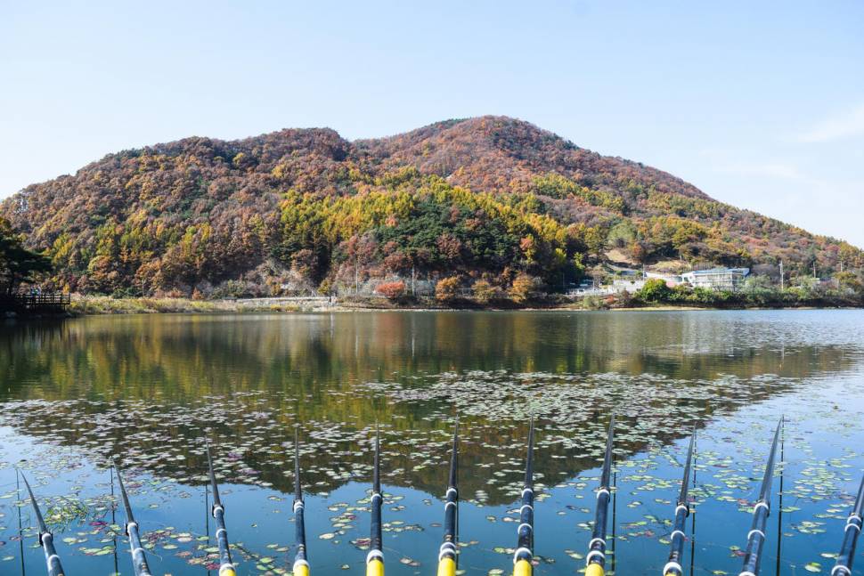 공간의 낚시 조행기 (조황조행기 - 화보조행기)
