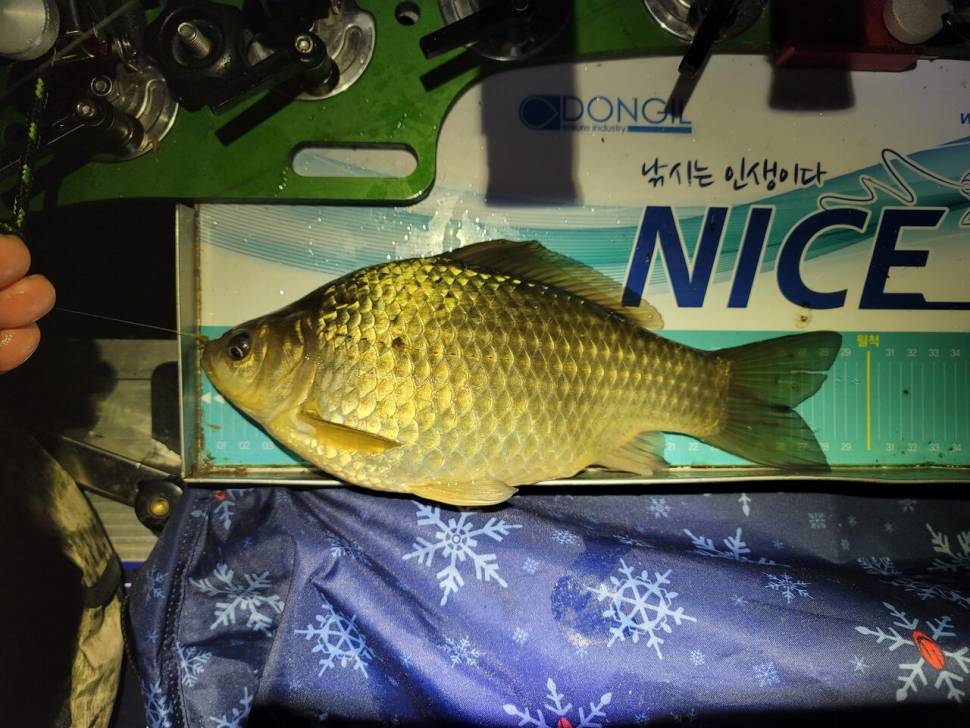 바람이 불어오는 곳 (조황조행기 - 화보조행기)