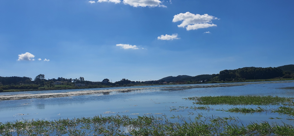 아직은 이른 듯한 수룡지 (조황조행기 - 화보조행기)
