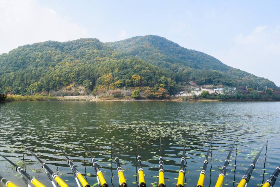 공간의 낚시 조행기 (조황조행기 - 화보조행기)