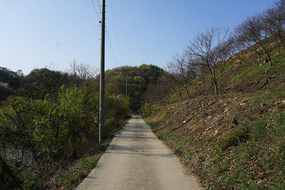 봄날 (조황조행기 - 화보조행기)