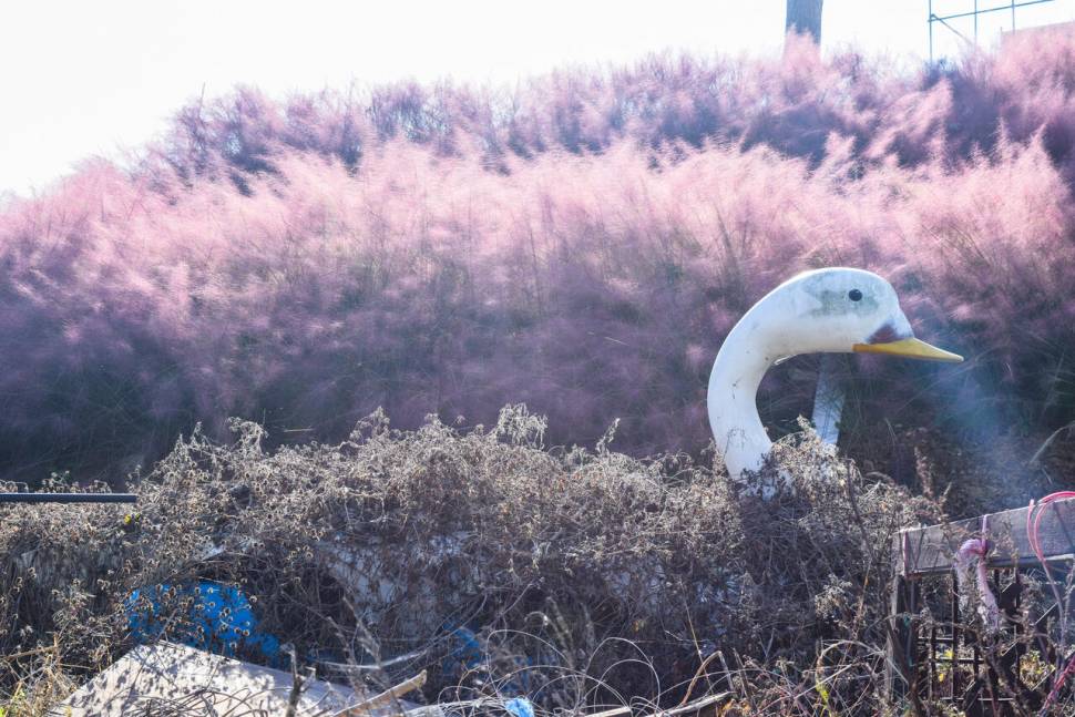 공간의 낚시 조행기 (조황조행기 - 화보조행기)