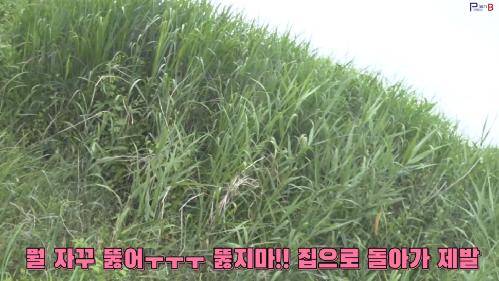 평택 진위천에서 폭염속 행군낚시 (조황조행기 - 화보조행기)