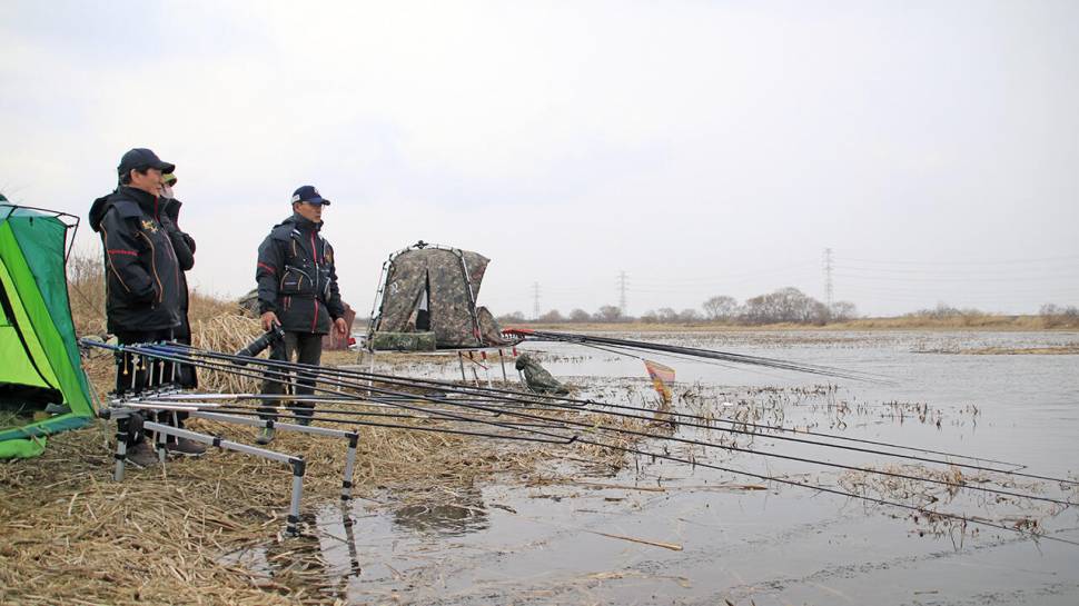 붕어낚시 시즌 시작 Carp fishing season begins (조황조행기 - 화보조행기)