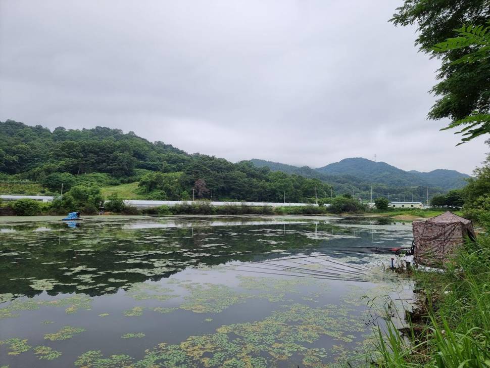 터센 오짜터 출조 (조황조행기 - 화보조행기)