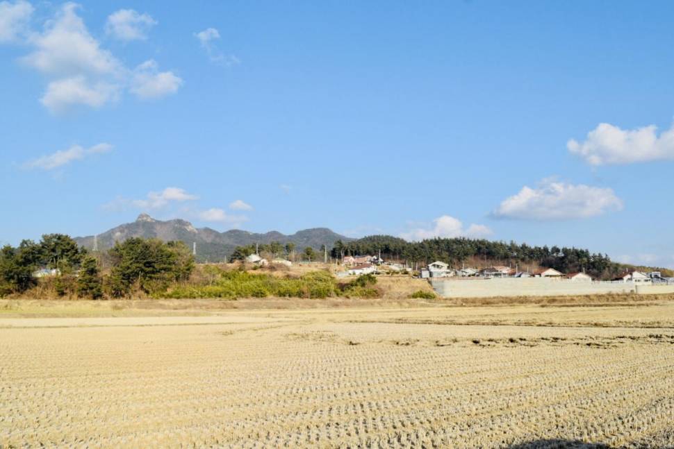공간의 낚시 조행기 (조황조행기 - 화보조행기)