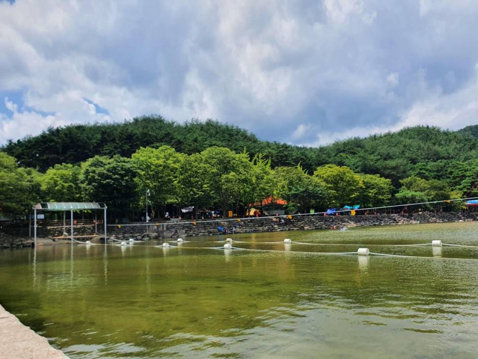 끝여름밤의 꿈을 찿아서 (조황조행기 - 화보조행기)