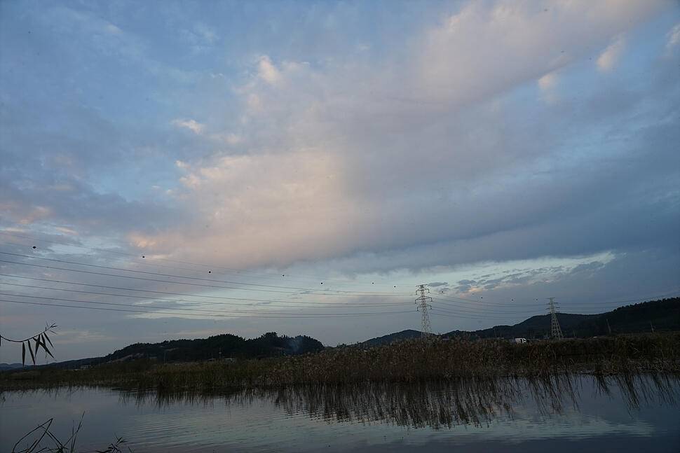 저수지 친구 주말엔 낚시지 (조황조행기 - 화보조행기)