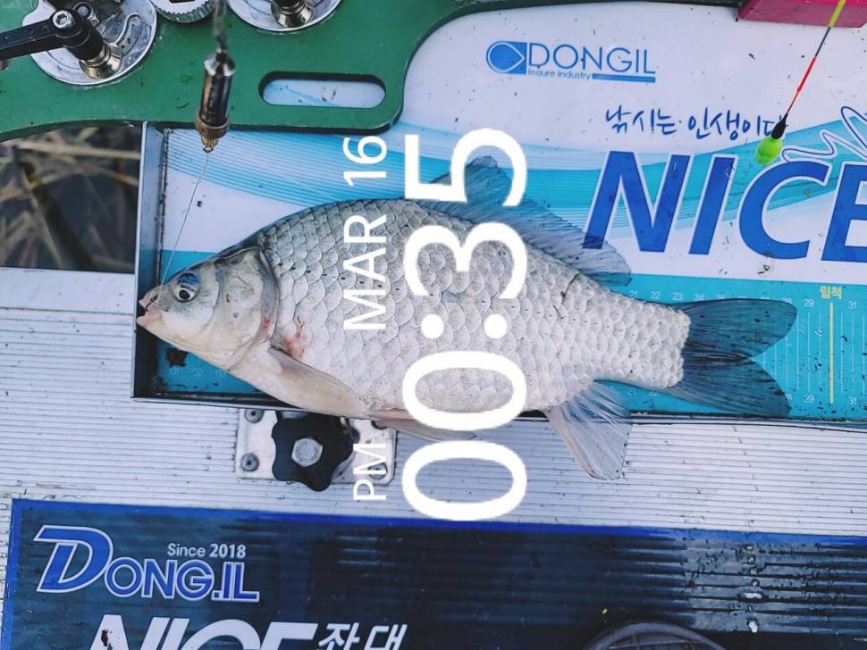 영암에 찾아온 봄 (조황조행기 - 화보조행기)