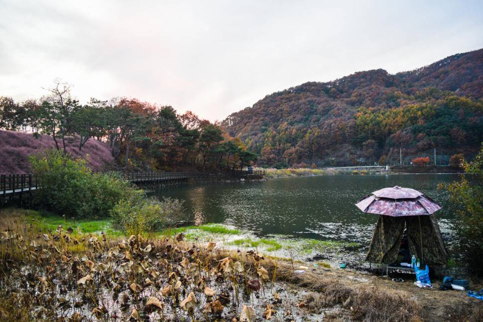 공간의 낚시 조행기 (조황조행기 - 화보조행기)