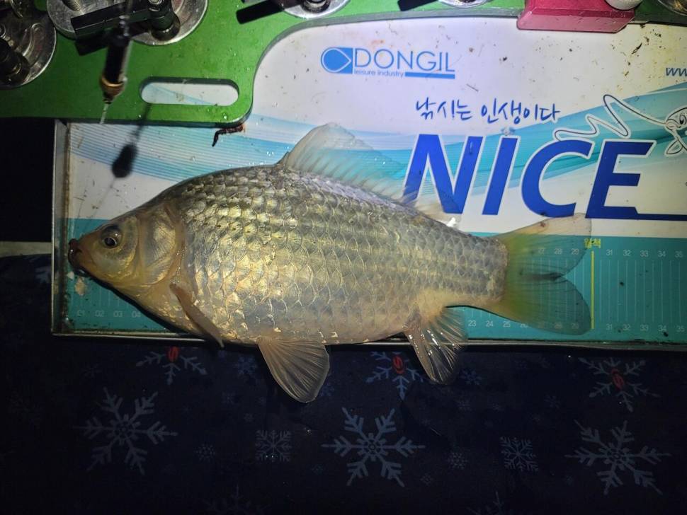 해창만에서 영암수로까지 (조황조행기 - 화보조행기)