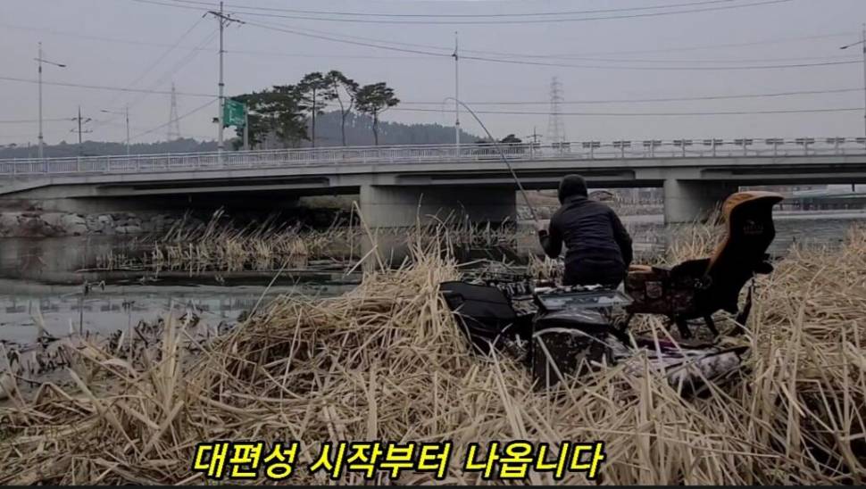 부들갈대 낮은수심 낚시 (조황조행기 - 화보조행기)