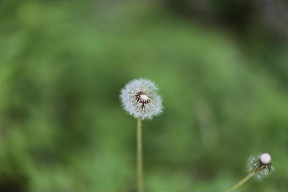조포의 낚시여행 금산 소류지에서 (조황조행기 - 화보조행기)