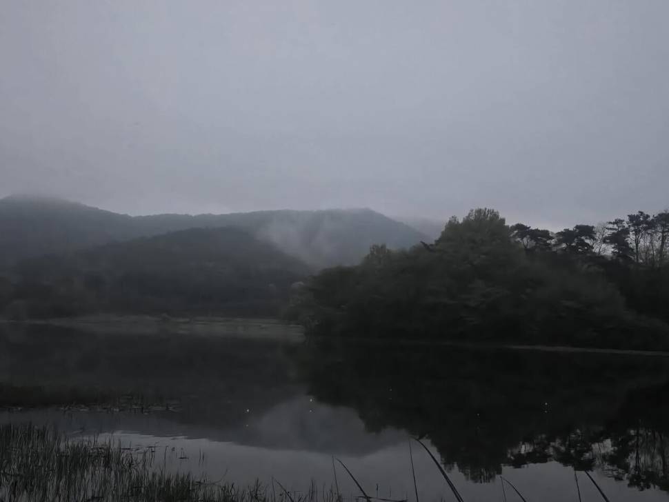 비바람 뒤에 4짜 붕어가 찾아 왔어요 (조황조행기 - 화보조행기)