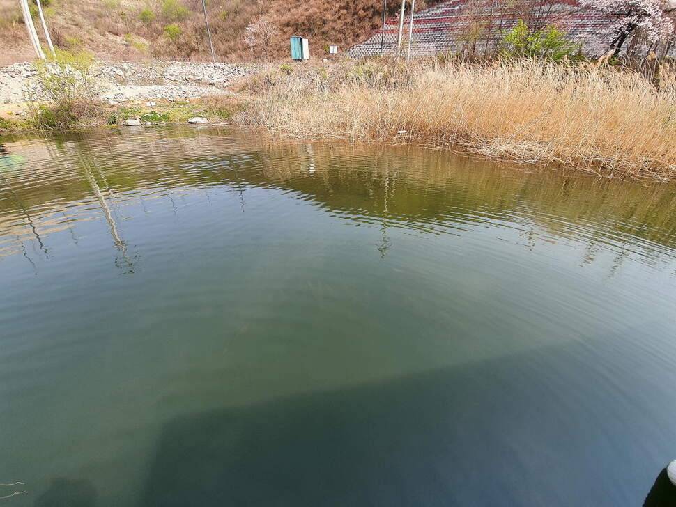 몇년만에 대충조행기 (조황조행기 - 화보조행기)