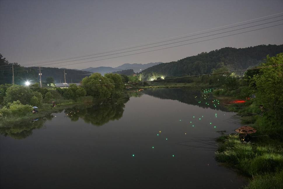 낚시금지반대 (조황조행기 - 화보조행기)