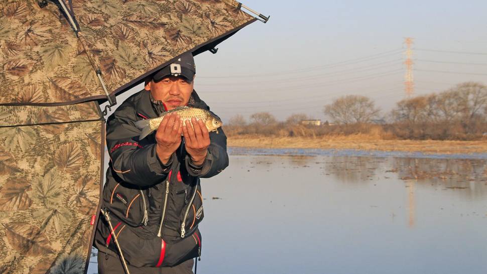 붕어낚시 시즌 시작 Carp fishing season begins (조황조행기 - 화보조행기)