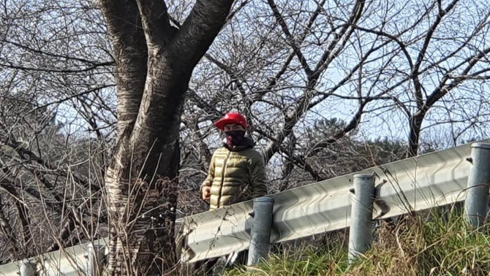 세발이의 힐낚다이어리 (조황조행기 - 화보조행기)