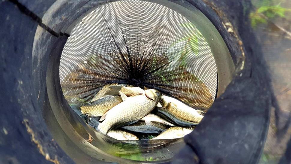 계곡지를 찾아서 (조황조행기 - 화보조행기)