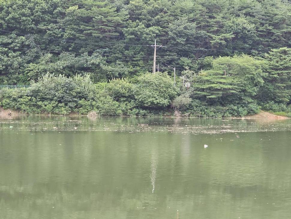 댐처럼 생긴 저수지에 다녀왔어요 (조황조행기 - 화보조행기)