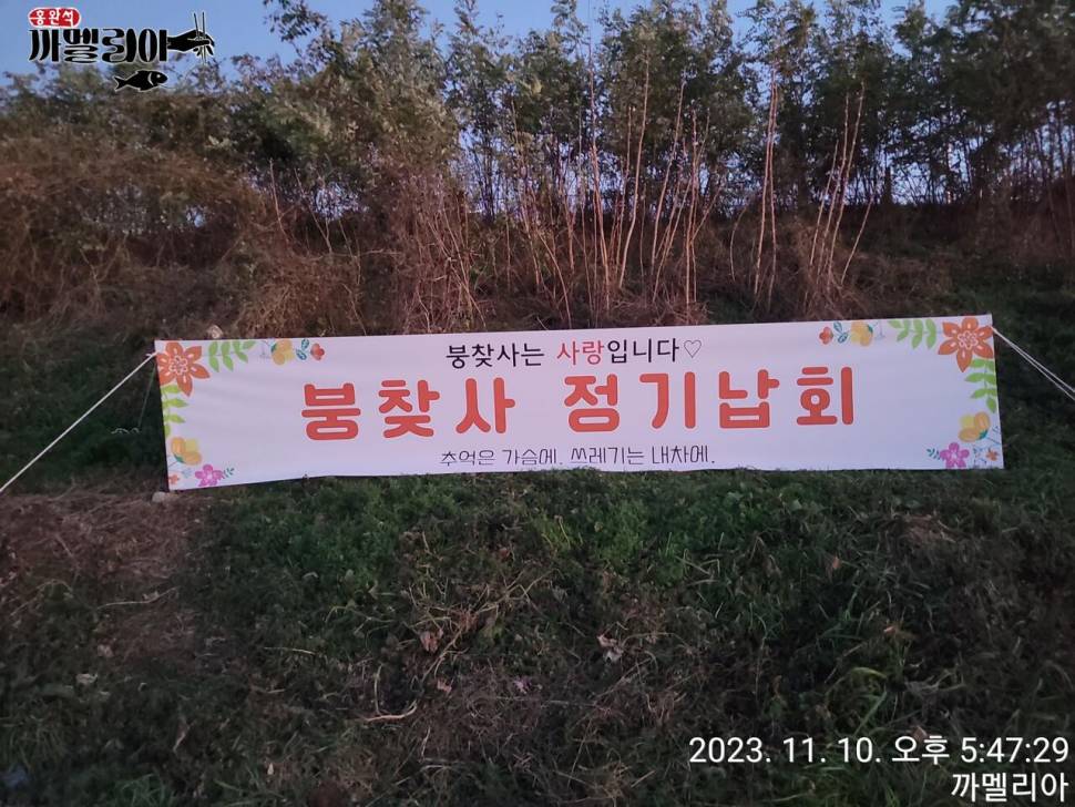 까멜리아의 스물 여덟번째 조행기입니다 (조황조행기 - 화보조행기)