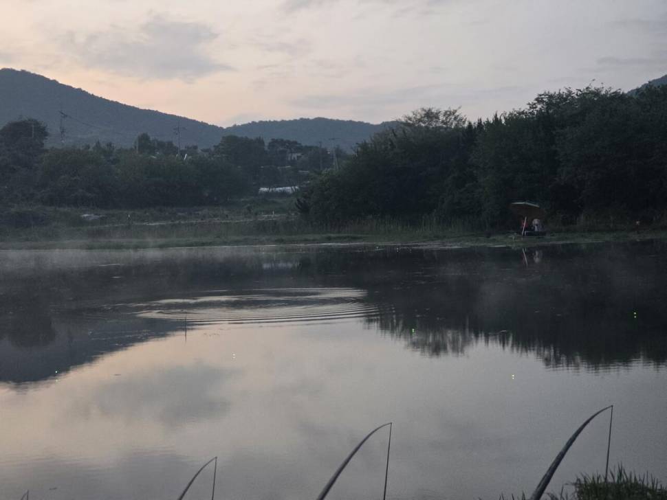 비바람 뒤에 4짜 붕어가 찾아 왔어요 (조황조행기 - 화보조행기)