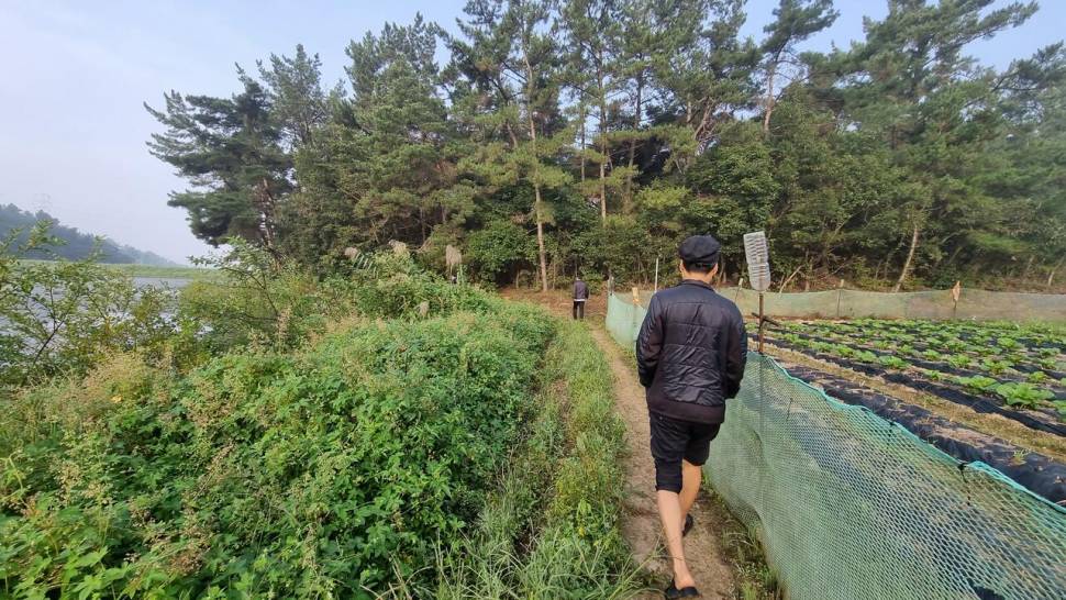 정출을 다녀오며 (조황조행기 - 화보조행기)