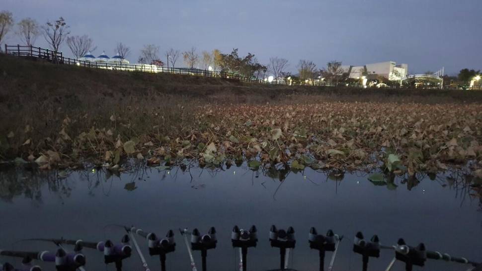 세발이의 힐낚 다이어리 (조황조행기 - 화보조행기)