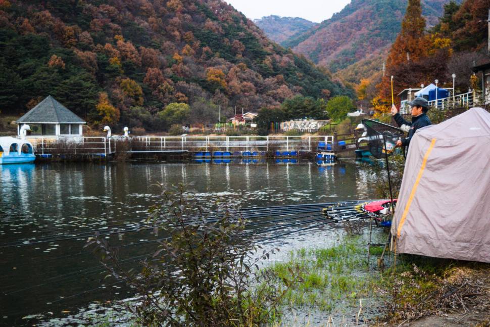 공간의 낚시 조행기 (조황조행기 - 화보조행기)