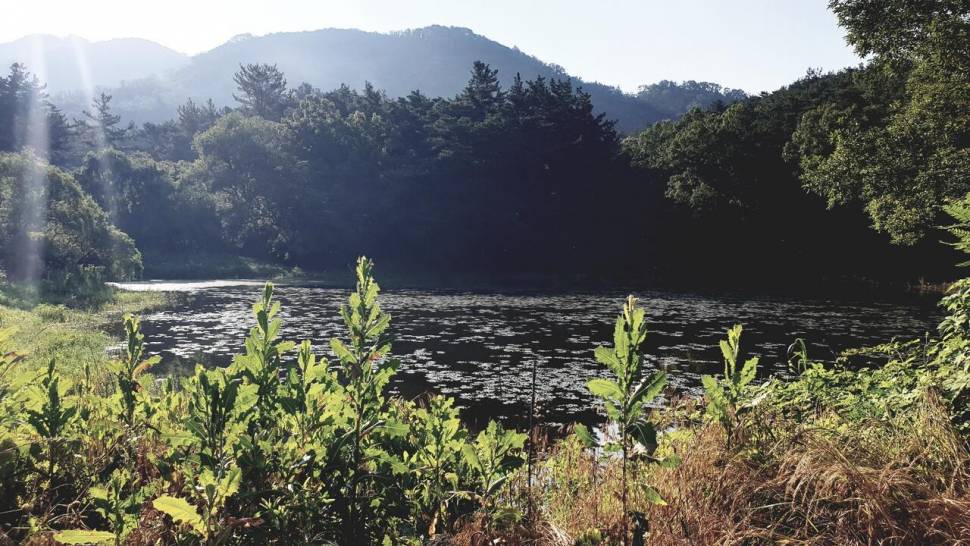 산속놀이터 (조황조행기 - 화보조행기)