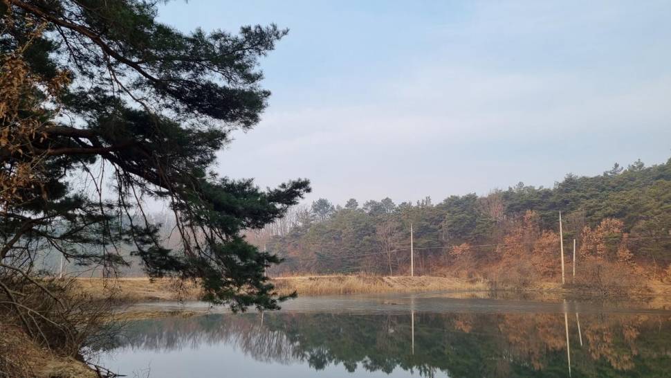 오랜 기다림 (조황조행기 - 화보조행기)