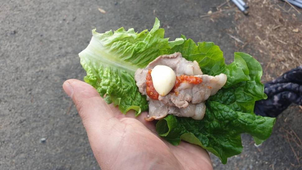 미동없는 찌를 바라보며 (조황조행기 - 화보조행기)