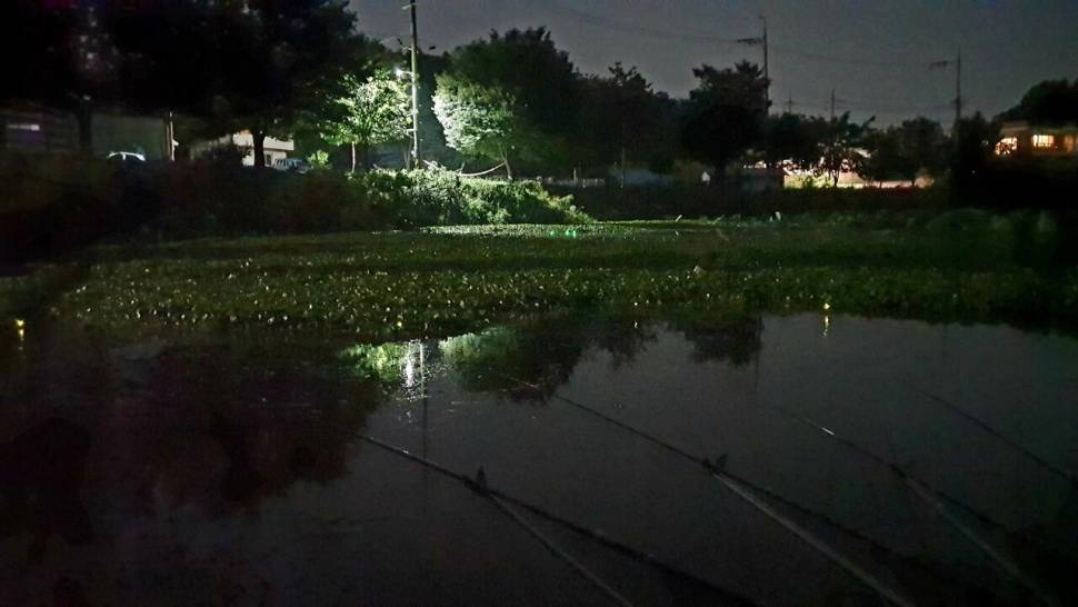 홀로한낚시 (조황조행기 - 화보조행기)