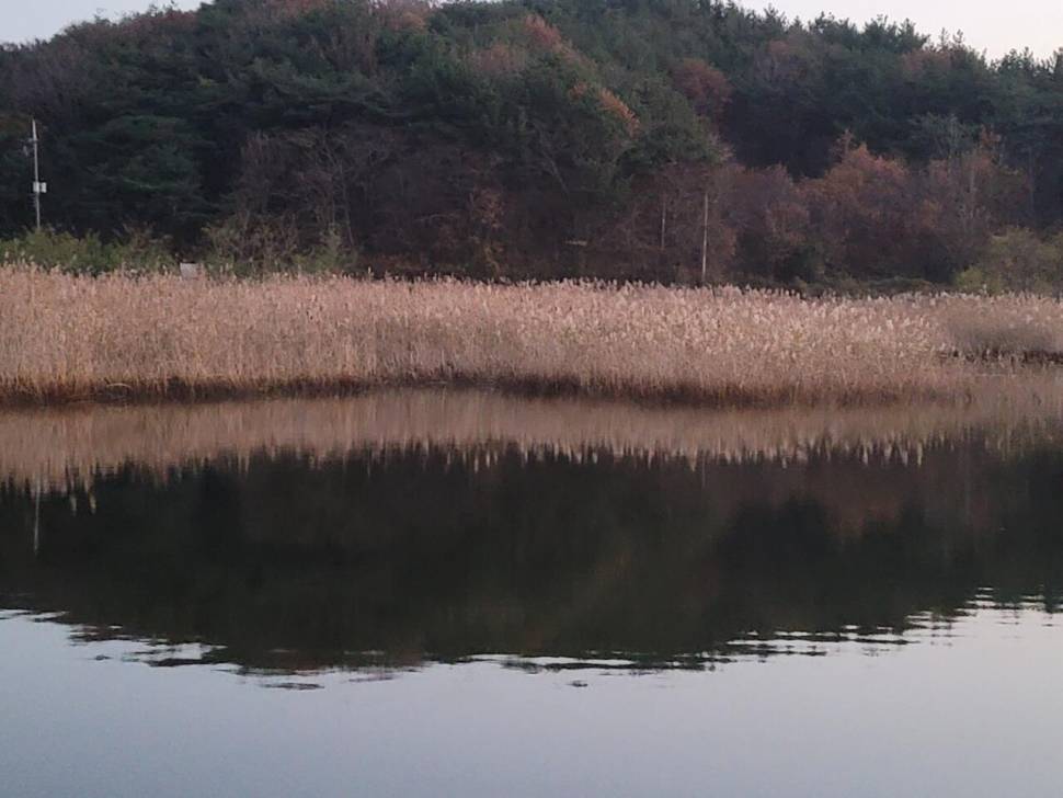 보트 초보의 두번째 출항기 (조황조행기 - 화보조행기)