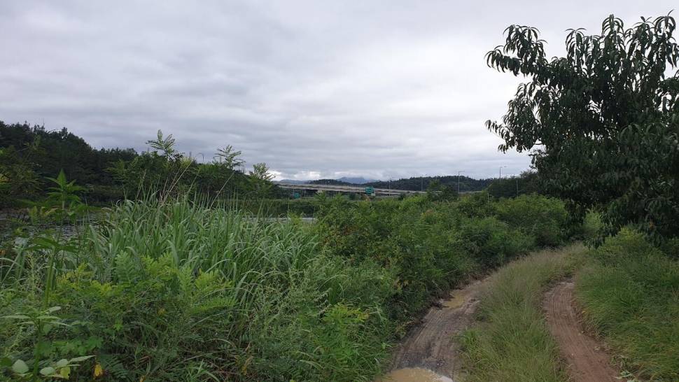 나홀로 번출 (조황조행기 - 화보조행기)