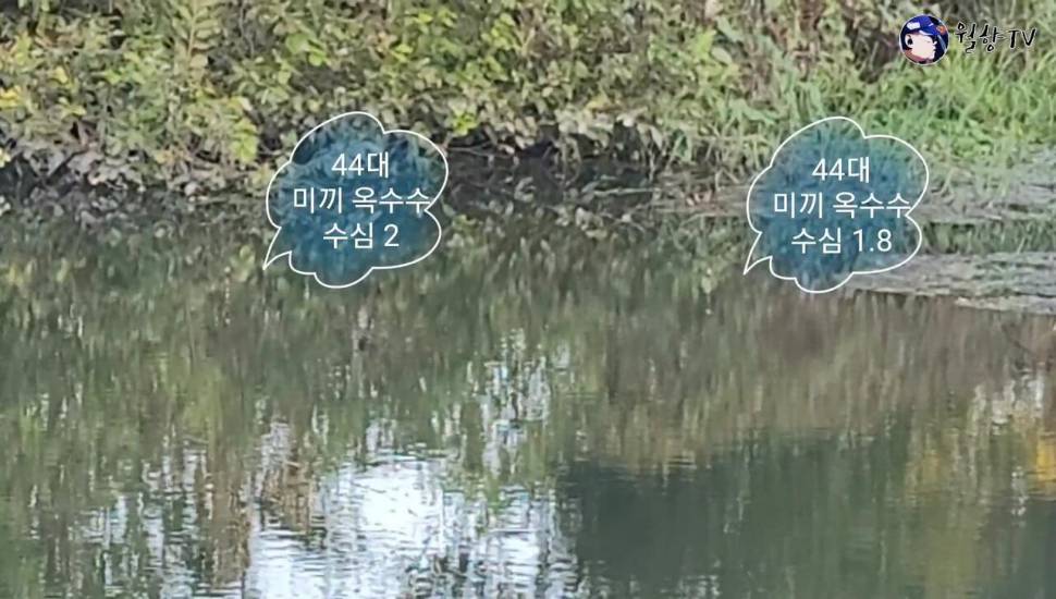담양 봉산수로 현지인 애장터에서 놀다가 왔어요 (조황조행기 - 화보조행기)
