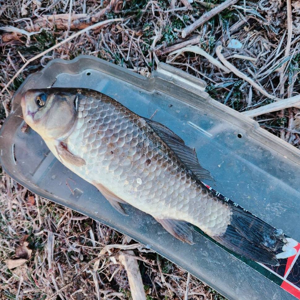 어신魚神 조우회의 2월달 정기 출조 (조황조행기 - 화보조행기)