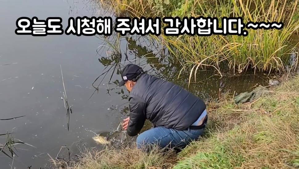 세종소류지 옥수수 새우에 마릿수 붕어 (조황조행기 - 화보조행기)