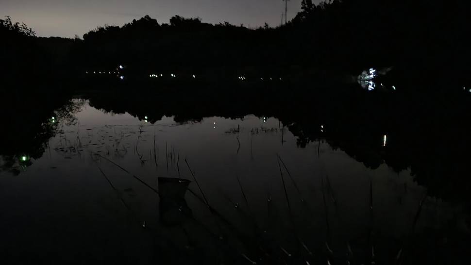 붕어를 만나고 싶다 (조황조행기 - 화보조행기)