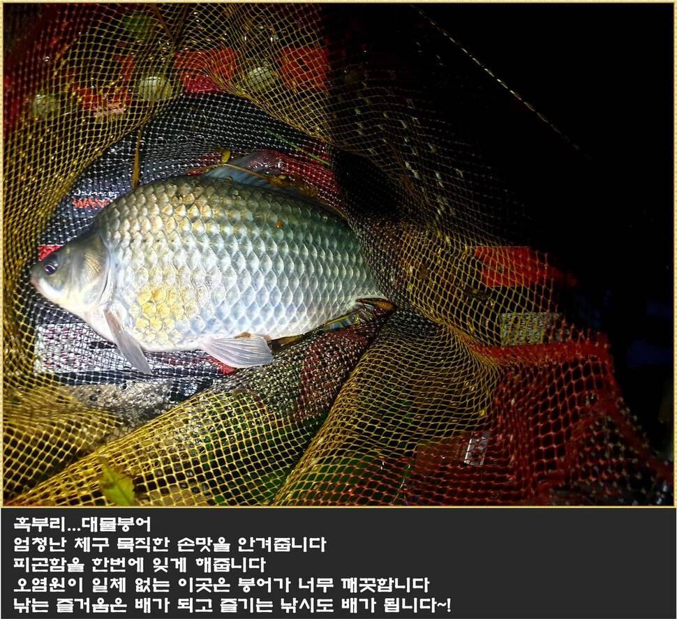 붕어에 낚이다 (조황조행기 - 화보조행기)