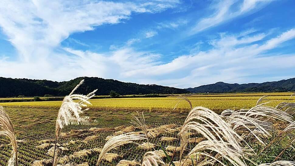 시월의 첫 출조 (조황조행기 - 화보조행기)