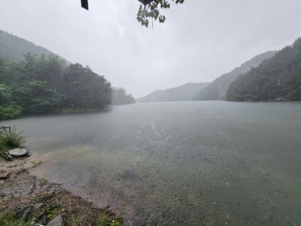 산속 계곡지에서 (조황조행기 - 화보조행기)