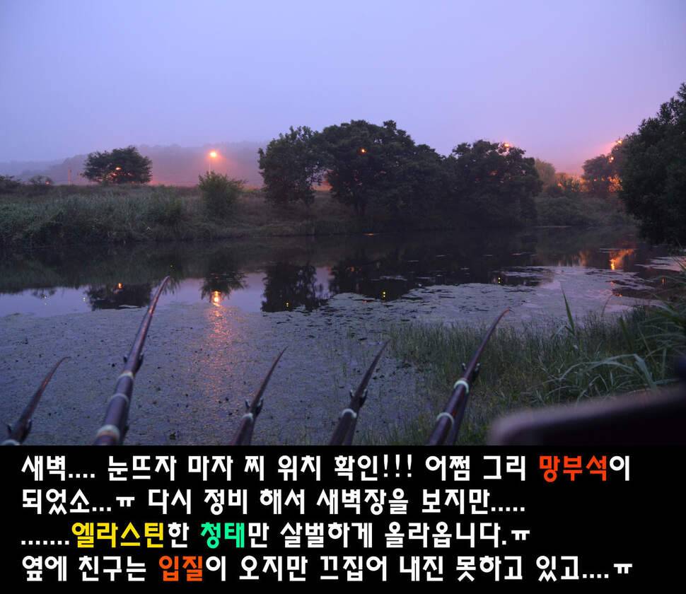 이장의 강호지락 두계천 조업 1편 (조황조행기 - 화보조행기)
