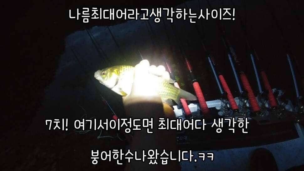 지존조행기아빠와 아들 그리고 피조사 (조황조행기 - 화보조행기)