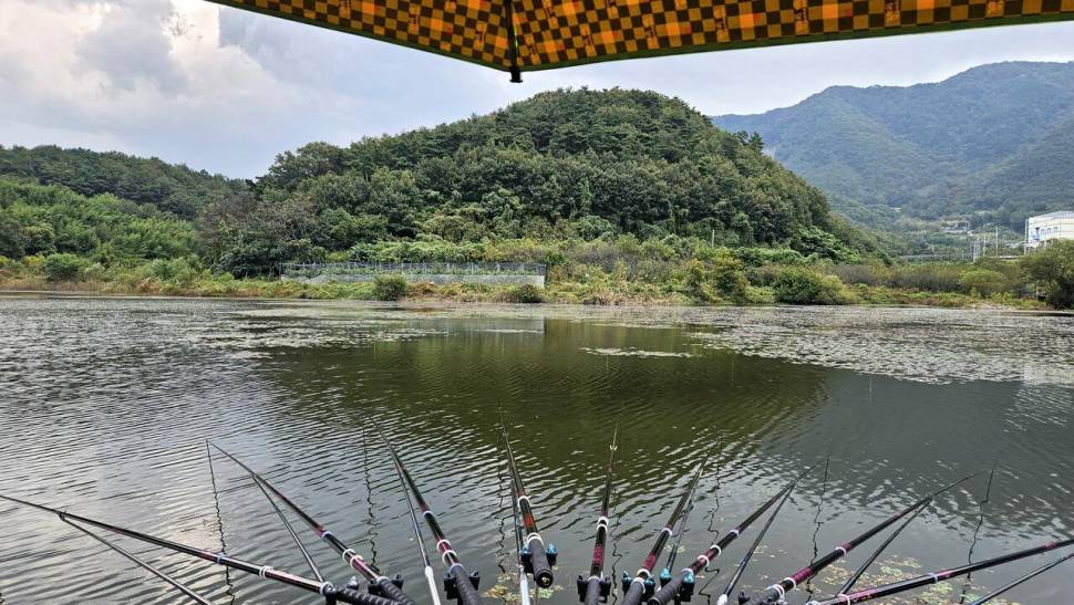 어신魚神 조우회의 10월 정출2번의 기회 (조황조행기 - 화보조행기)