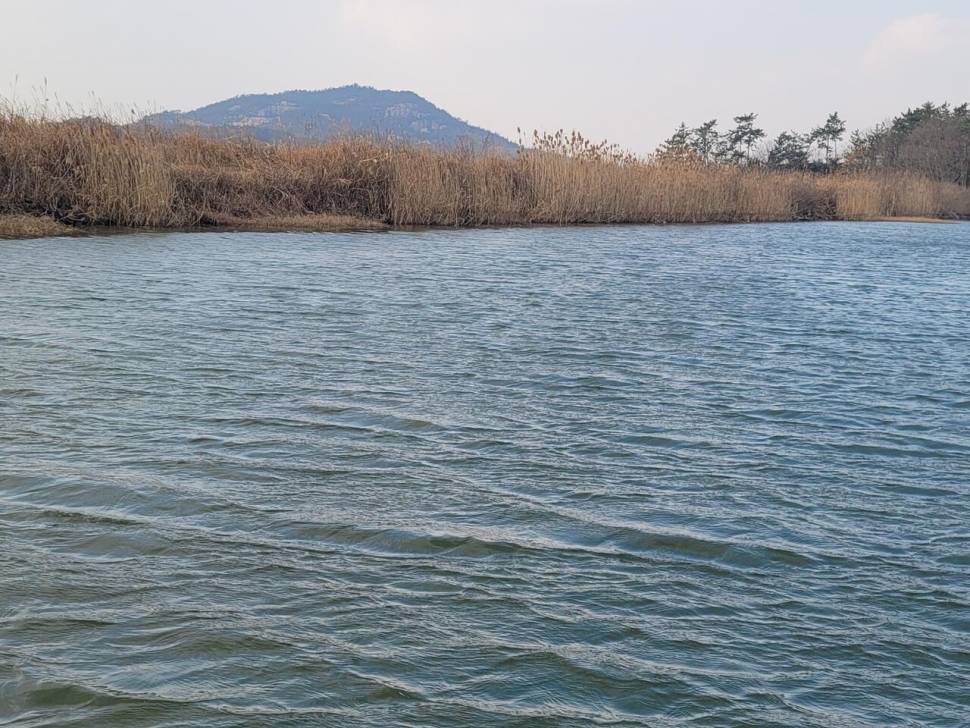 한파끝에 찾은 해남 (조황조행기 - 화보조행기)