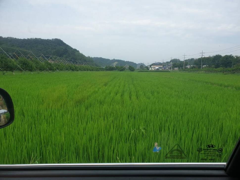 피싱 패밀리 (조황조행기 - 화보조행기)