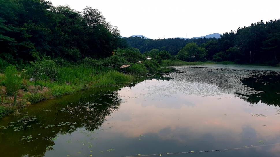 노지 조행기 시즌 14화 번출 (조황조행기 - 화보조행기)