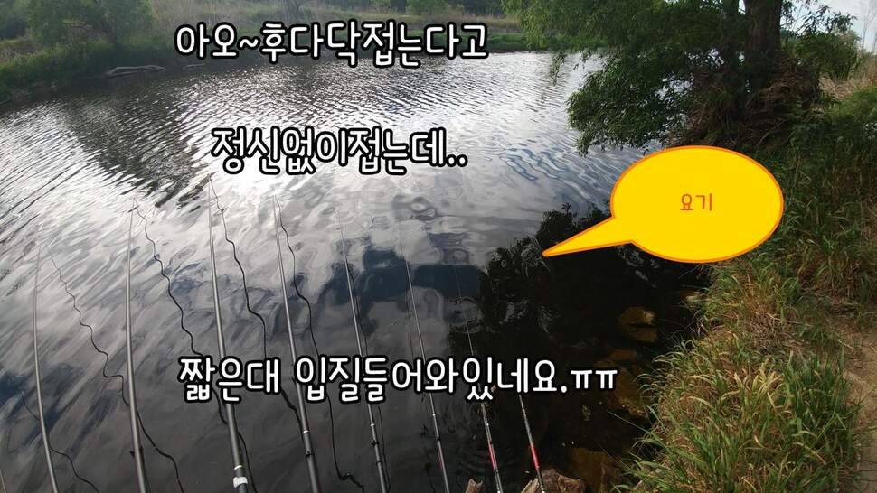 지존조행기아빠와 아들 그리고 피조사 (조황조행기 - 화보조행기)